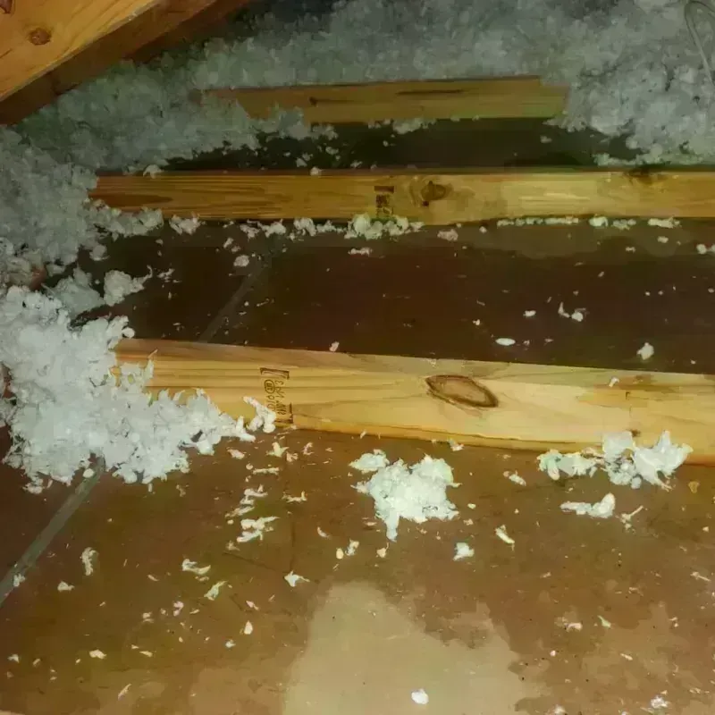 Attic Water Damage in Stinnett, TX