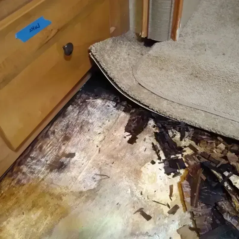 Wood Floor Water Damage in Stinnett, TX